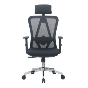 Ghế Công Thái Học E-Dra EEC213 (Màu Đen)